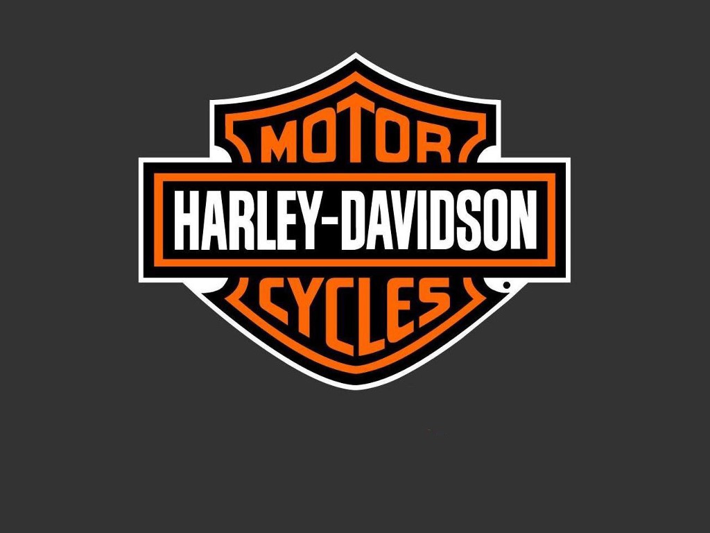 Download this Harley Davidson Moto Cruising picture