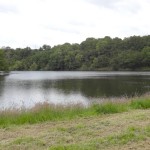 lac en Bretagne, du côté de Rennes