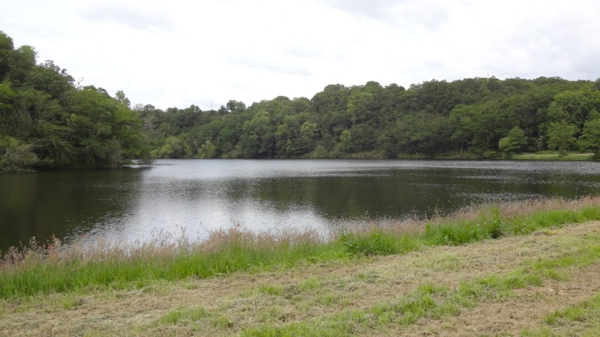 lac en Bretagne, du côté de Rennes