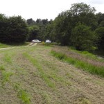 petit chemin de campagne Bretonne