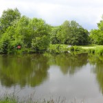 ambiance au bord du canal