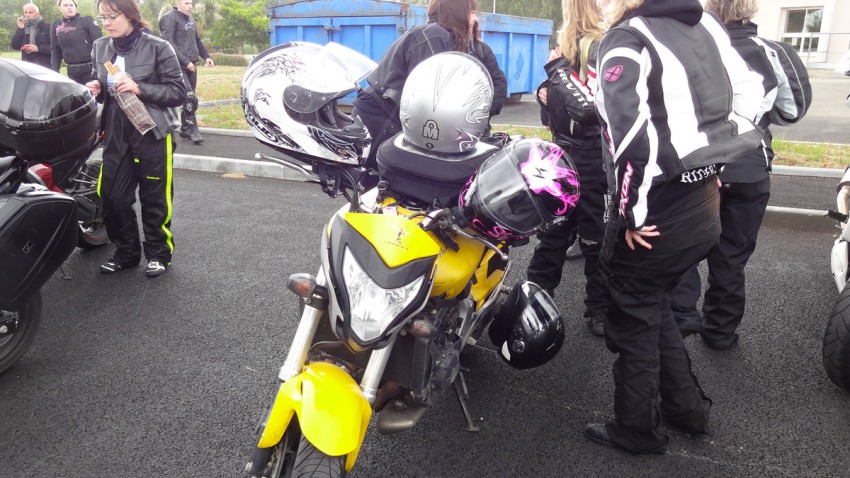 hornet 600 jaune honda Rennes