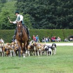 chasse avec des chiens à la Bourbansais (Rennes)