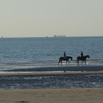 promenade des chevaux à Deauville