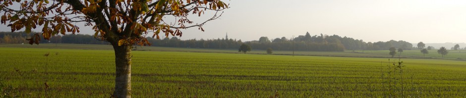 Campagne Rennaise