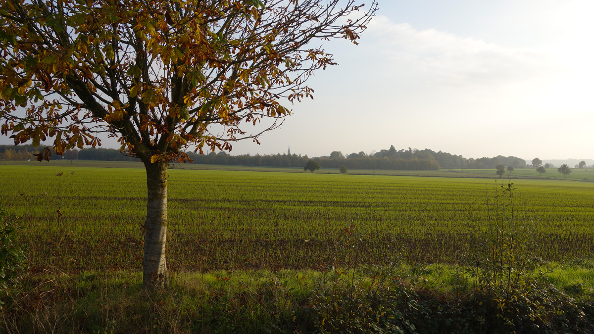 Campagne Rennaise