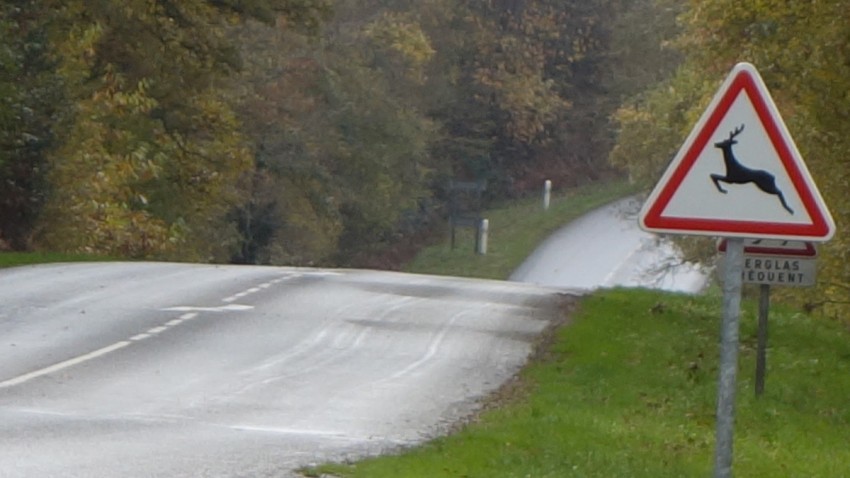 route départementale Bretonne