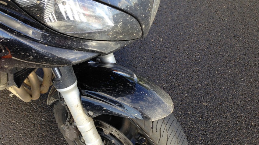 tête de fourche d'un FZ6S2 Yamaha Rennes (planète Yam)