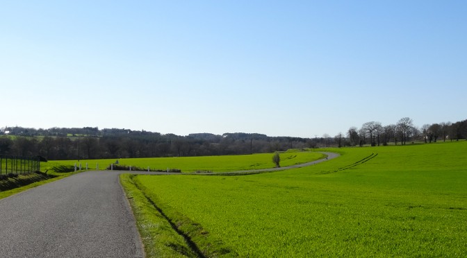 routes sinueuses dans le morbihan