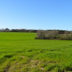 ferme en Bretagne et champ d'herbe