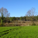 campagne en Bretagne