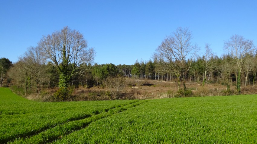 campagne en Bretagne