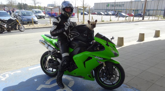 Tony et son chien à moto (sportive)