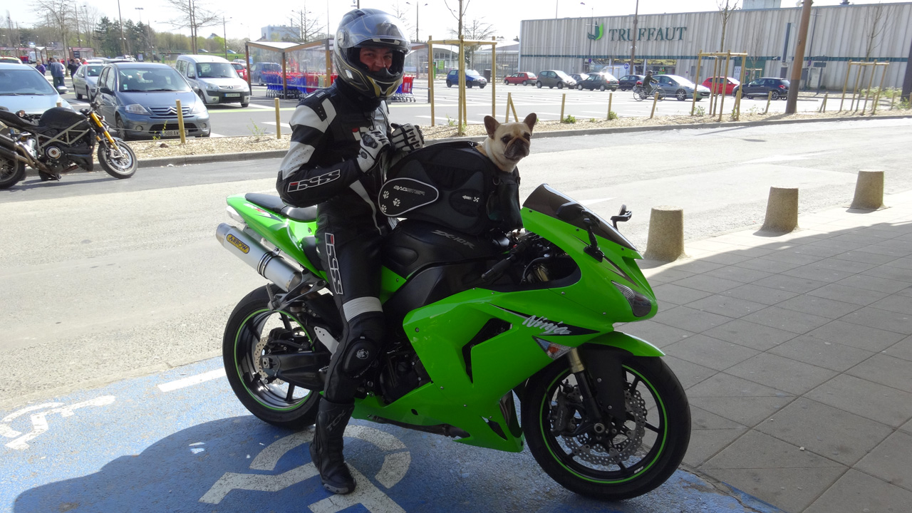 Tony et son chien à moto (sportive)