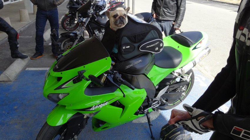 motarde à poil sur une ninja Kawasaki à Rennes