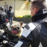 il commence à faire chaud à moto au soleil en mars 2014