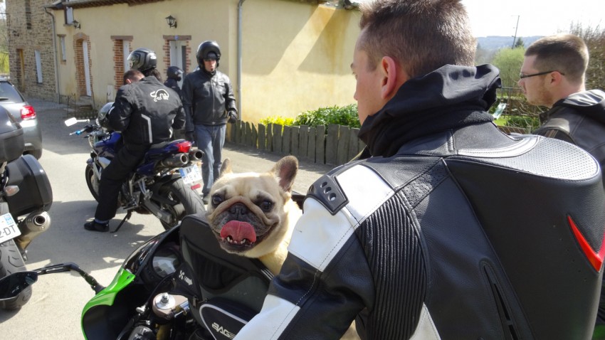 il commence à faire chaud à moto au soleil en mars 2014