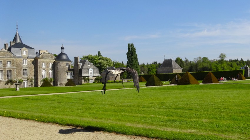 La fauconnerie au zoo de la Bourbansais