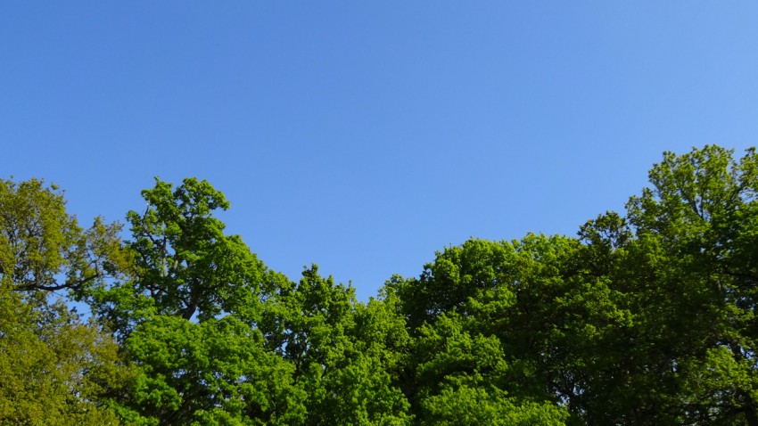 quel beau temps à Rennes en Bretagne