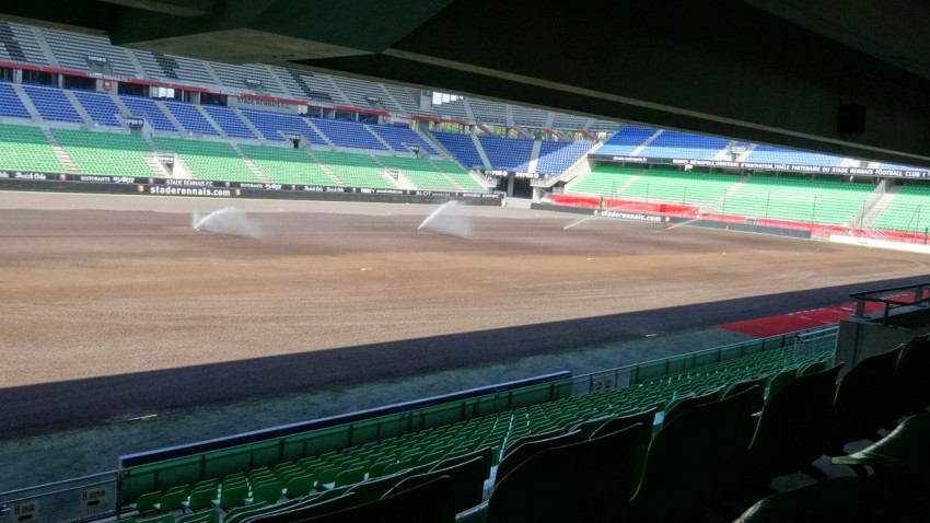 Pelouse du Stade Rennais