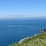 vue Cap Fréhel vers la mer