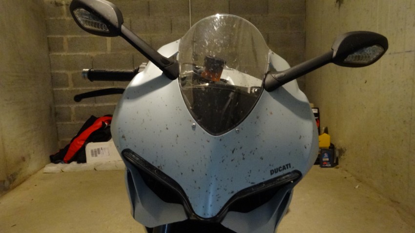 moustique sur le Ducati 899 blanche