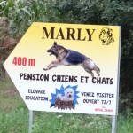 pension canine Marly