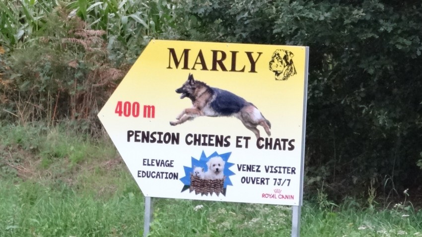 pension canine Marly