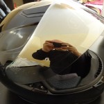 visière iridium casque moto shoei