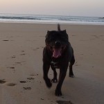 Tao sur sa plage, Rochebonne, Saint-Malo