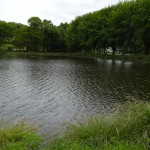 étang et pêche à la truite à Corlay