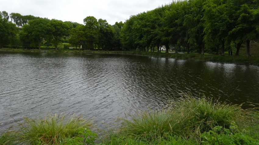 étang et pêche à la truite à Corlay