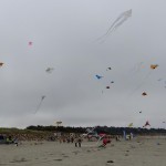 festival du cerf volant à ile de sieck surf Finistère
