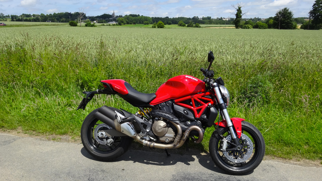 Monster Ducati 821 de David Jazt