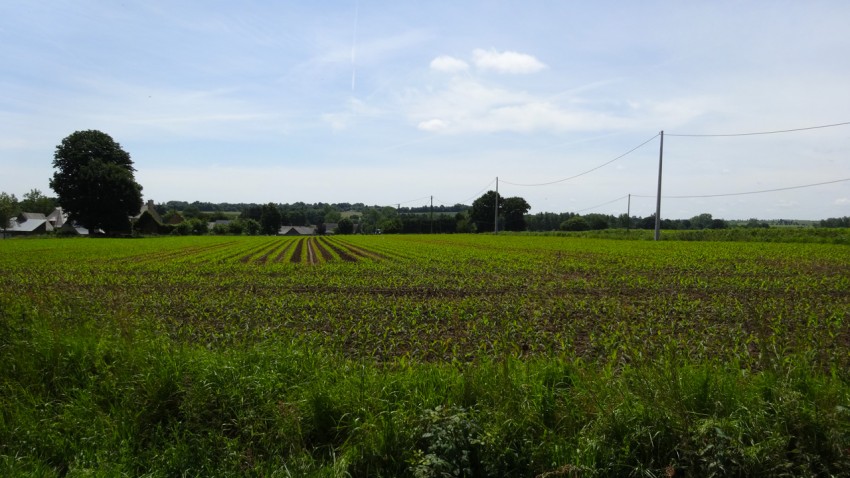 Campagne normande