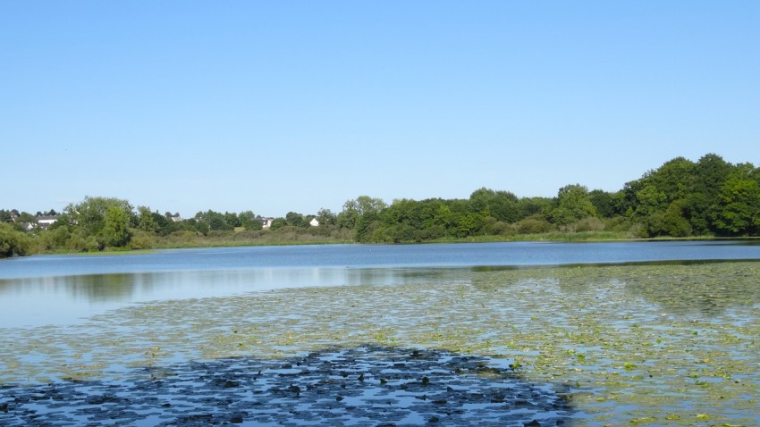 Combourg, près de Rennes