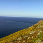 vue vers le Cap Fréhel