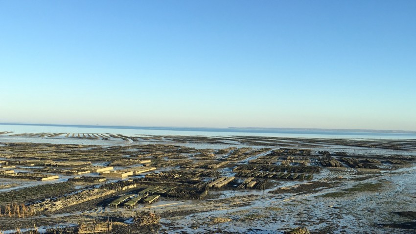 Vue depuis Cancale