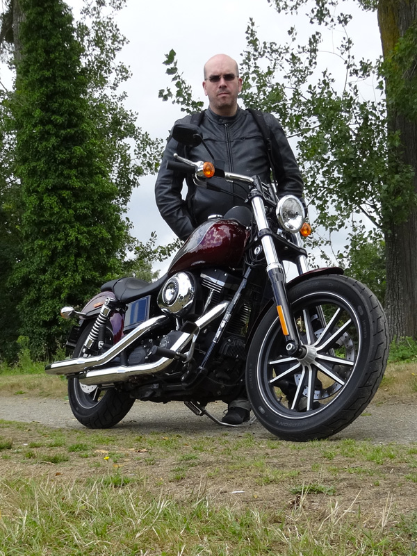 Harley Davidson de David Jazt