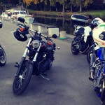 balade moto avec les copains en Harley Davidson