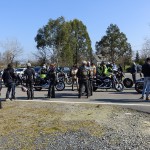 motard Harleytiste à Rennes