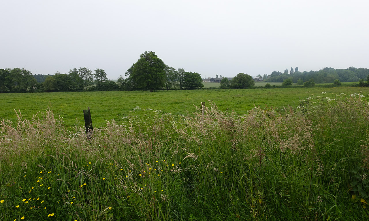 campagne Bretonne