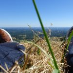 assis dans l'herbe au suc-au-may