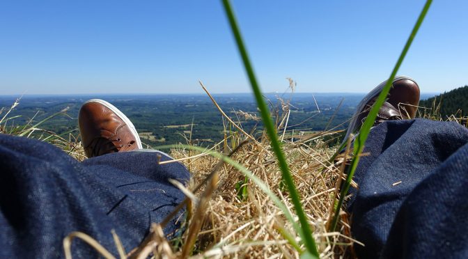 assis dans l'herbe au suc-au-may