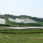 Campagne du Massif Central