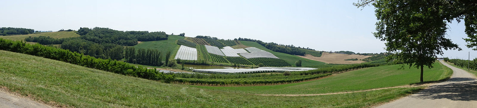 Campagne du Massif Central