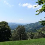 la montagne l'été : les Pyrénées