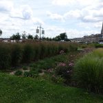 esplanade sur les bords de la dordogne à Bordeaux