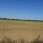 champ agricole autour de Rennes