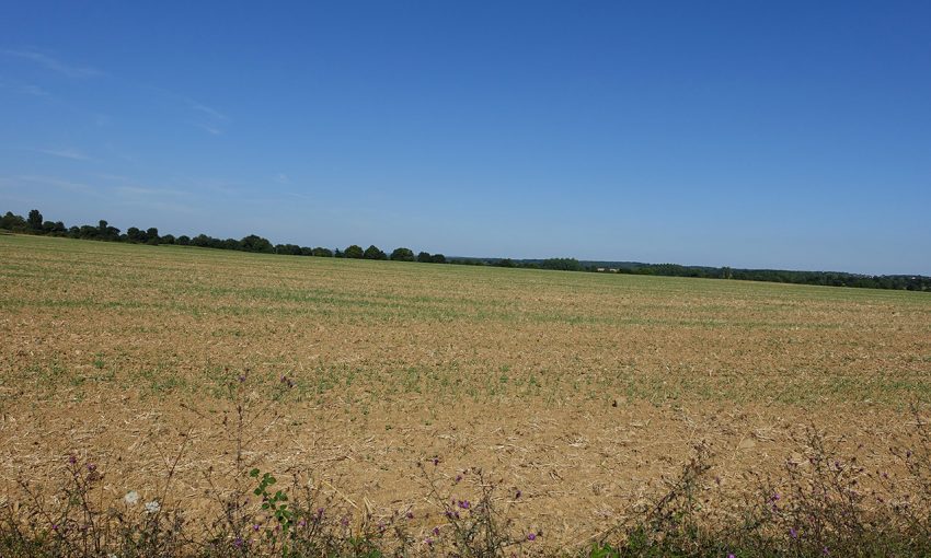 champ agricole autour de Rennes